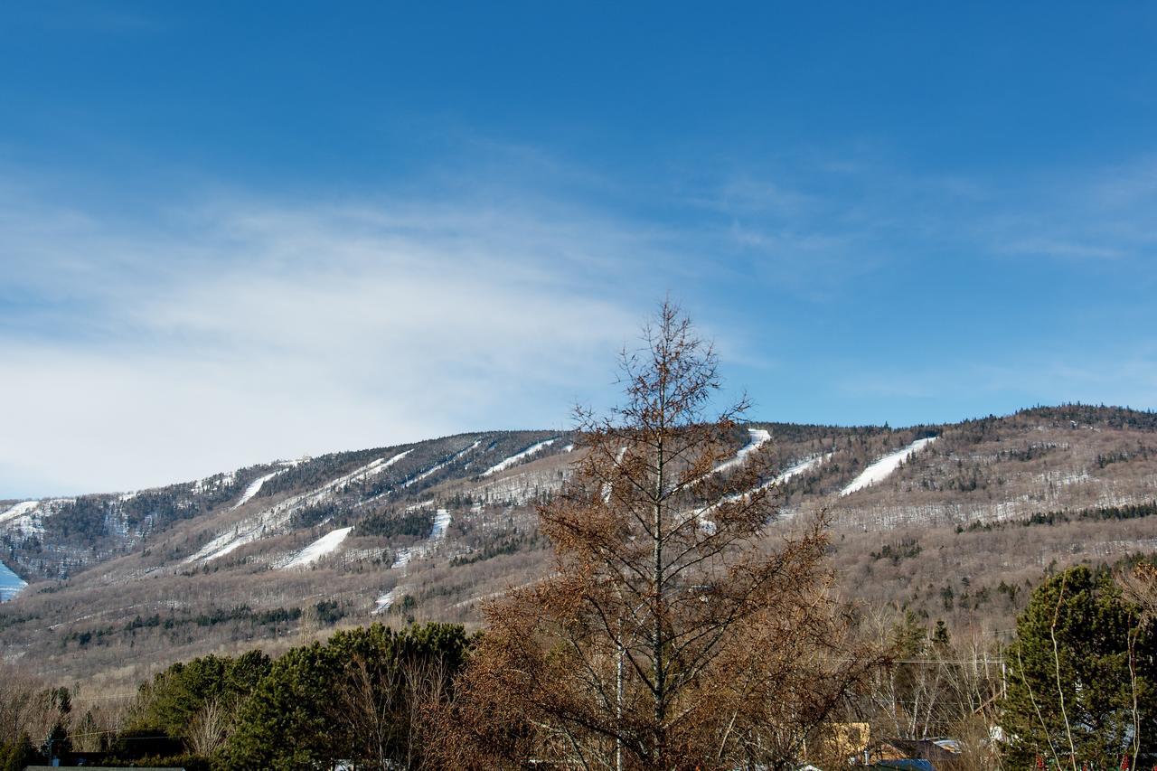 Saint-Ferreol-les-Neiges Le Vallon מראה חיצוני תמונה